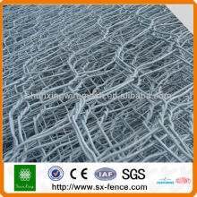 Shunxing Hexagonal wire mesh supplier(manufacture)